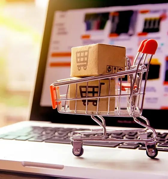 cart-mg2 cart-mg2