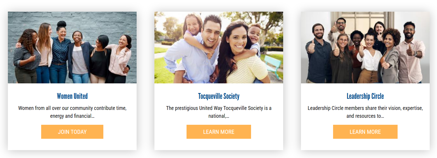 Screenshot of website program options
